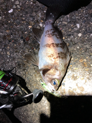 ハイプレッシャーポイント