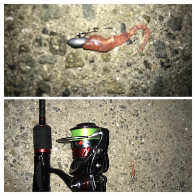 別府港でアジング(^.^)