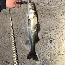 フラッシュブースト炸裂!