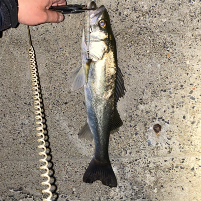 フラッシュブースト炸裂!