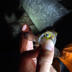 フロートメバリング