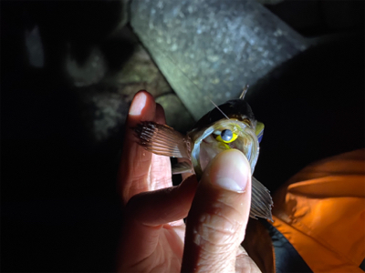 フロートメバリング