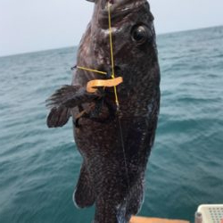 マイボートで1人タイラバ釣行