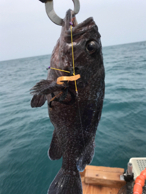 マイボートで1人タイラバ釣行