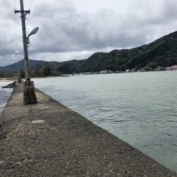 昼間にマゴチ！！55cm