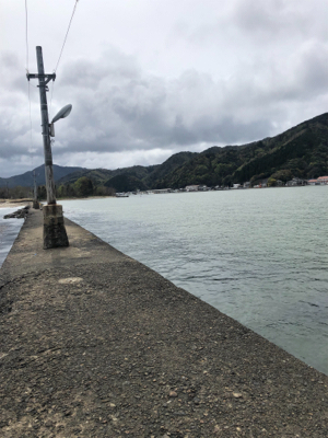 昼間にマゴチ！！55cm