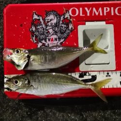 アジング 練習 140