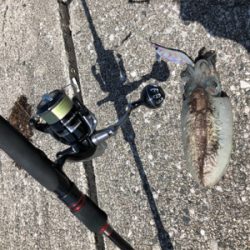 西風が強い中のジギング・エギング！