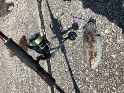 西風が強い中のジギング・エギング！