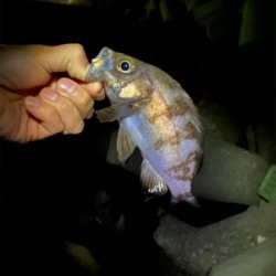 いつもの場所で