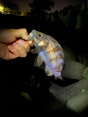 いつもの場所で