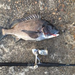 もうちょいで年なし