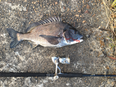 もうちょいで年なし