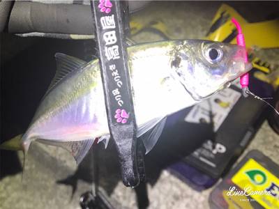 ボトムワインド