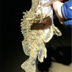 とある砂浜プラグガシリング