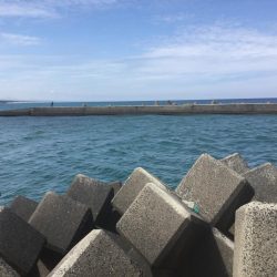 デイゲームランカー