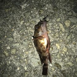 時合いは一投目