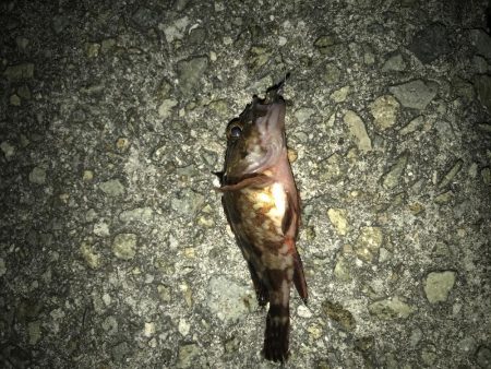 時合いは一投目