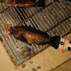 強風で厳しかったけど～