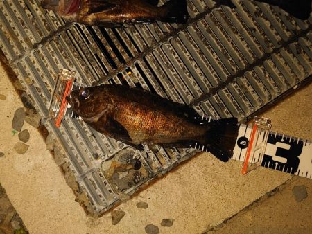 強風で厳しかったけど～