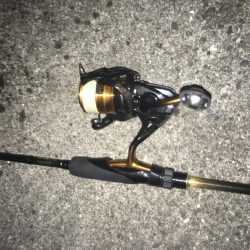 短時間の千田調査