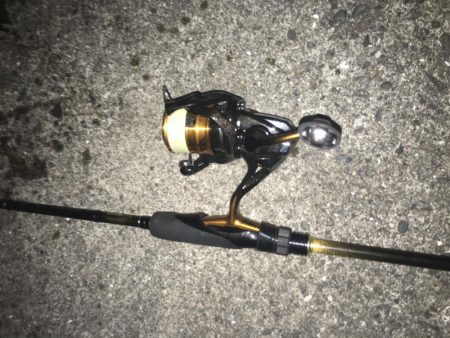 短時間の千田調査