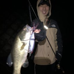 久しぶりの、バッスン