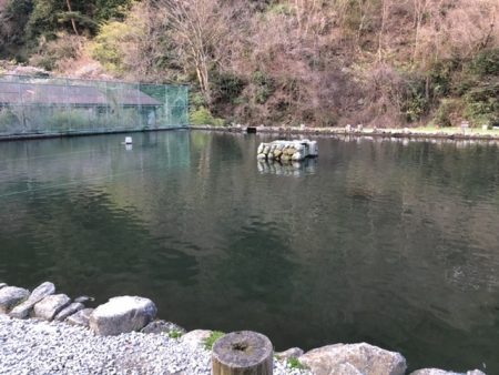 千早川マス釣り場でトップゲーム