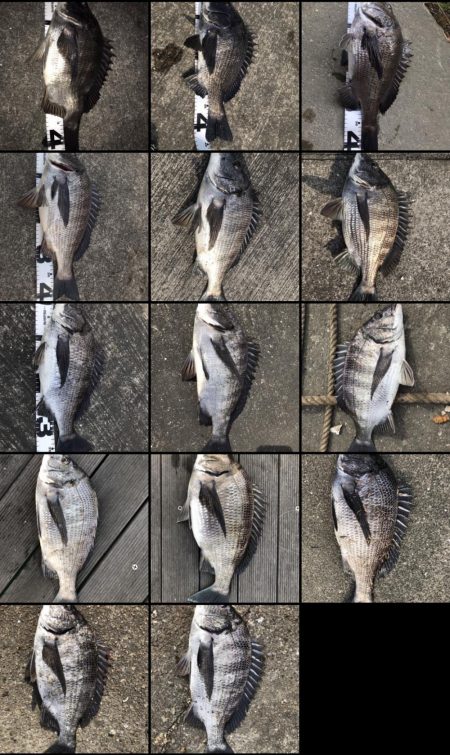 イチノ兄弟、釣果！