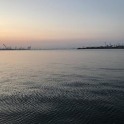 まさかのマルチゲット。