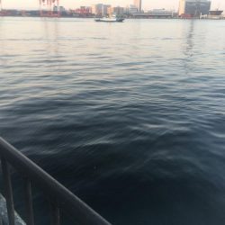 スーパームーン下にて