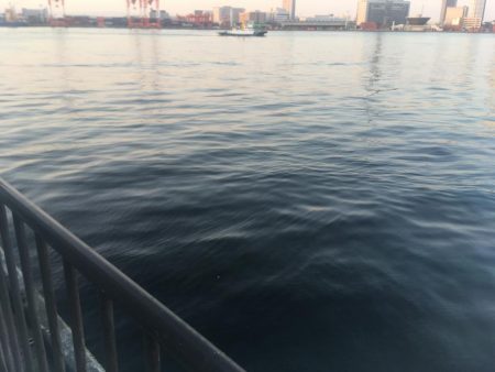 スーパームーン下にて