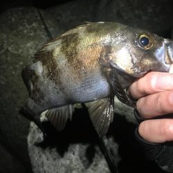 久しぶりの快勝！！