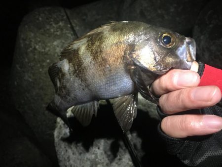 久しぶりの快勝！！