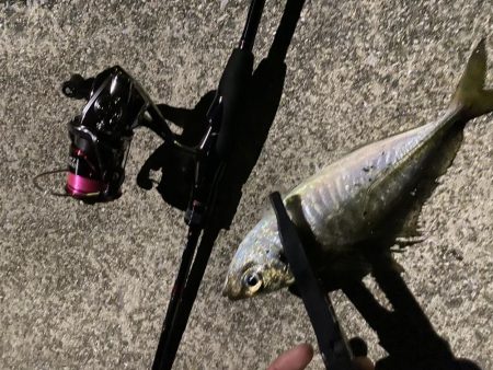 渋めのアジング