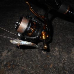 突然の強風で終了…。