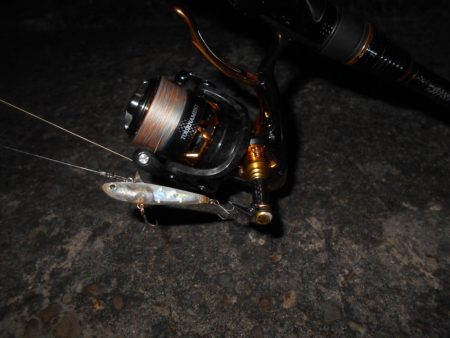 突然の強風で終了…。