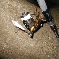 雨後は要チェック