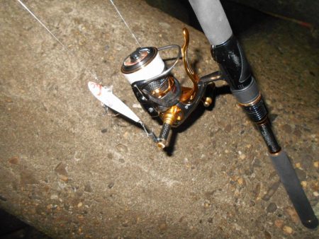 雨後は要チェック