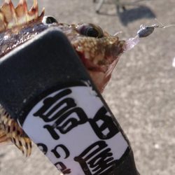 デイゲーム！！