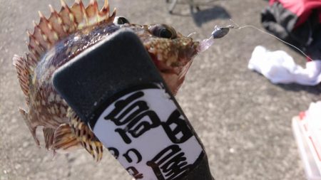 デイゲーム！！