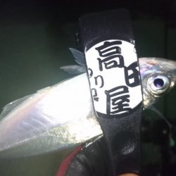 感染防止のため間を広く取って釣りしましょう