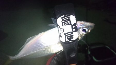 感染防止のため間を広く取って釣りしましょう