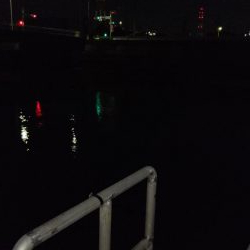 ナイトルアーフィッシング