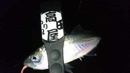 サビキ好調！！ルアーは？