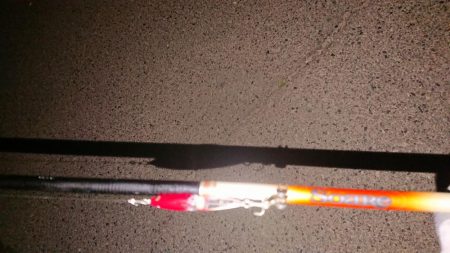 メバルプラッキング