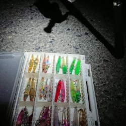 メバルプラッキング