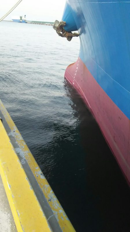 【苅田港】春のシーバス調査２