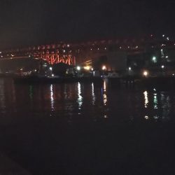 ぶらシーバス!!