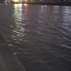 ぶら河川調査！！